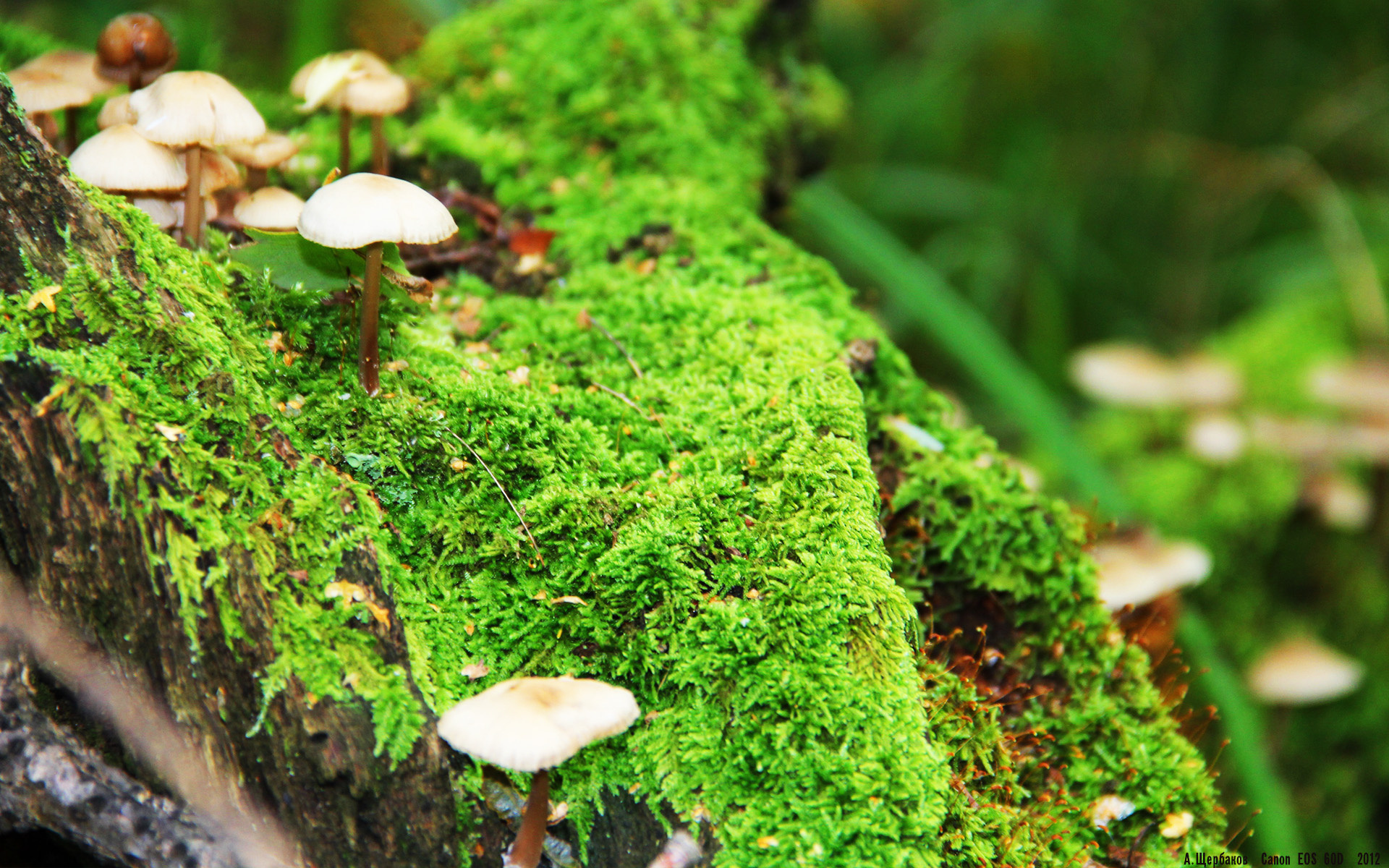 _技术与战术比拼:网球场上的精彩大比拼_,网球技战术训练方法