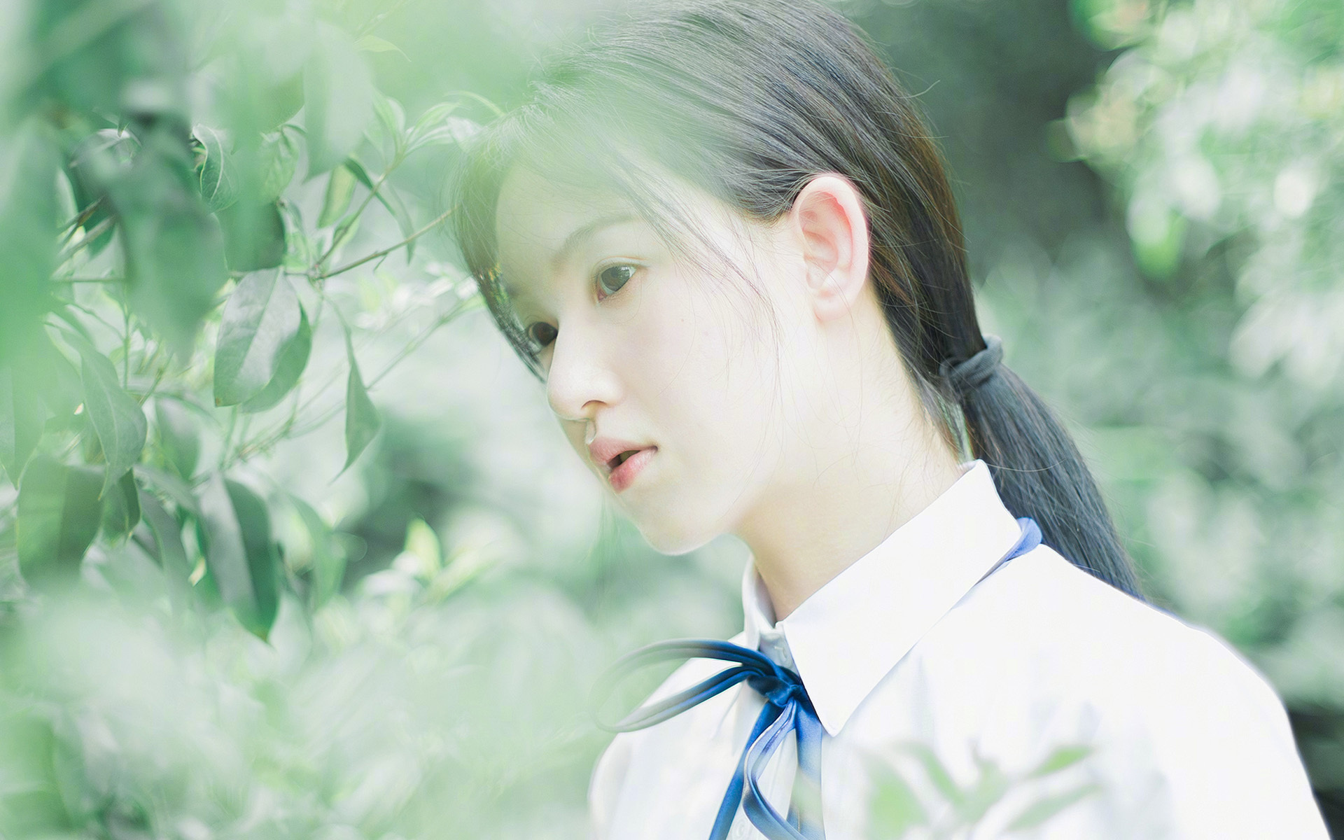 “中超俱乐部纷纷引进外援,战略布局再升级”,中超各队外援到队情况