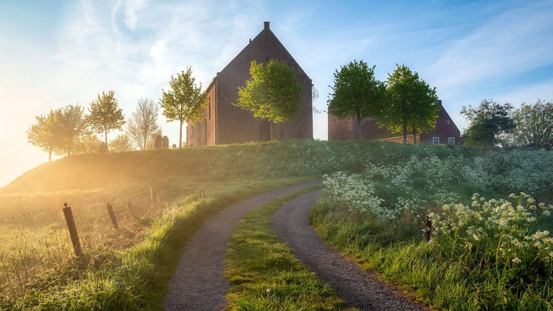 传统与创新结合：新一代教练带来的战术变革，传统型领导和教练型领导区别