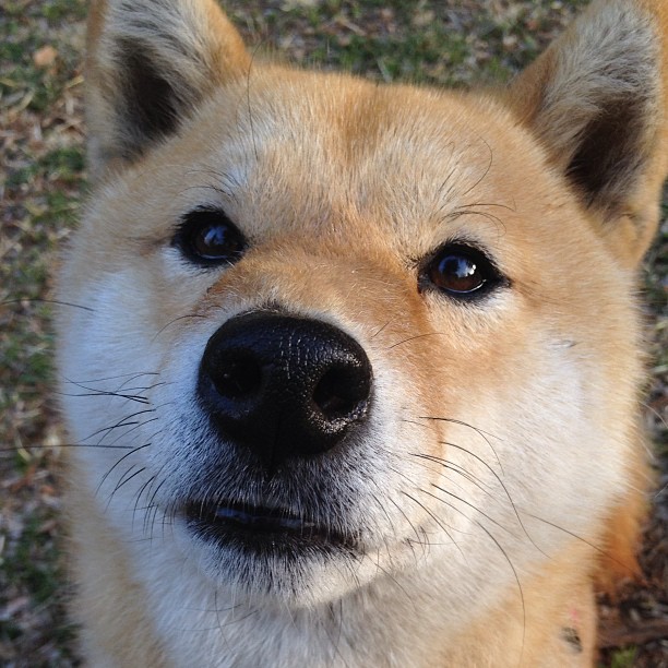 九游官网下载电脑版-_激情燃烧的沙滩排球季节开幕_，沙滩排球夺冠