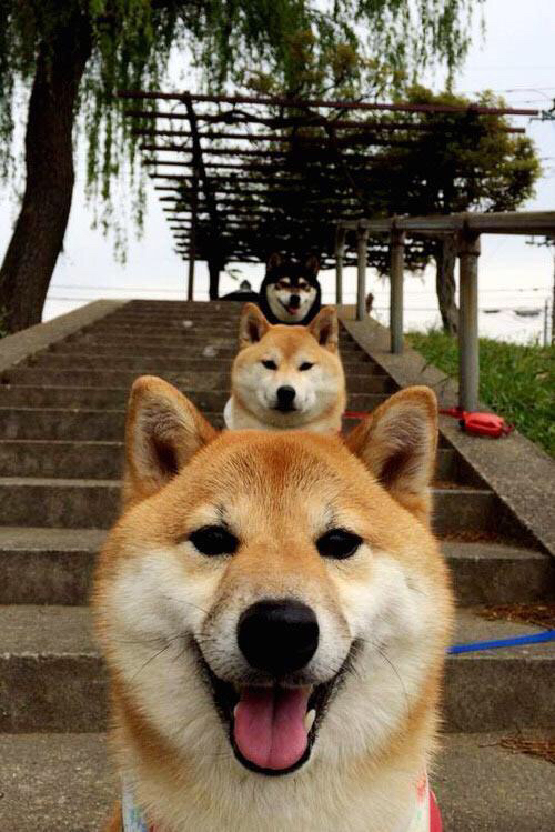 JIUYOU GAMING-东部季后赛首轮赛程公布，焦点对决受关注，东部季后赛球队