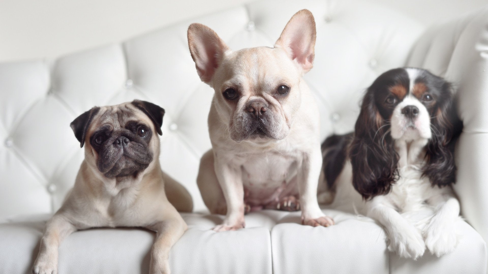 东部季后赛首轮赛程公布,焦点对决受关注,东部季后赛球队